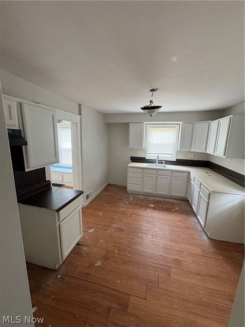Tiny photo for 13010 Parkhill Avenue, Cleveland, OH 44120 (MLS # 5221256)