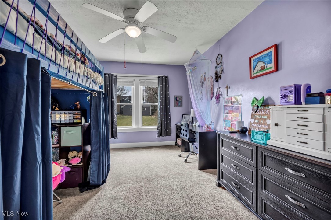 336 E Beech Street, Alliance, Ohio image 19