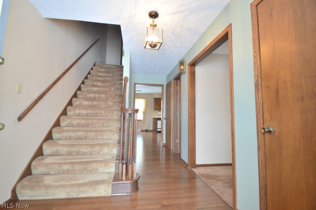 Ciarniello 01 - Residential