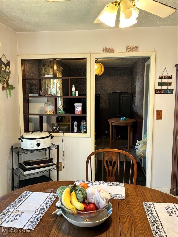 Warren, Ohio 44484, United States, 3 Bedrooms Bedrooms, ,2 BathroomsBathrooms,Residential,Active,207624