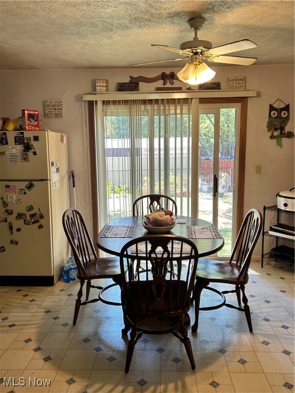 Warren, Ohio 44484, United States, 3 Bedrooms Bedrooms, ,2 BathroomsBathrooms,Residential,Active,207624