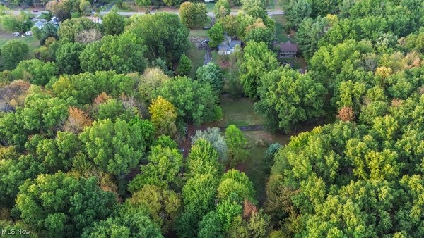 Township/Bazetta - Residential