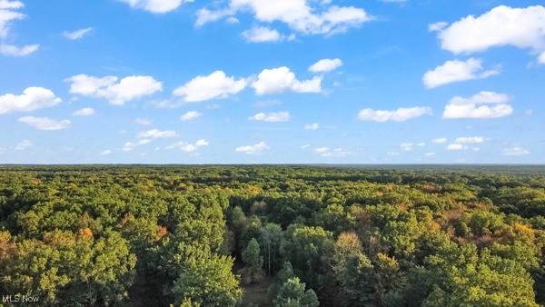 Township/Bazetta - Residential