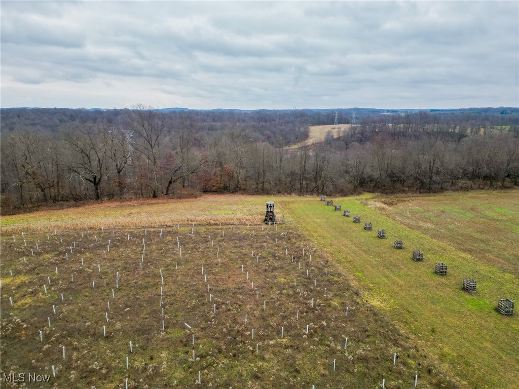 3115 Jasmine Road, Carrollton, Ohio image 8