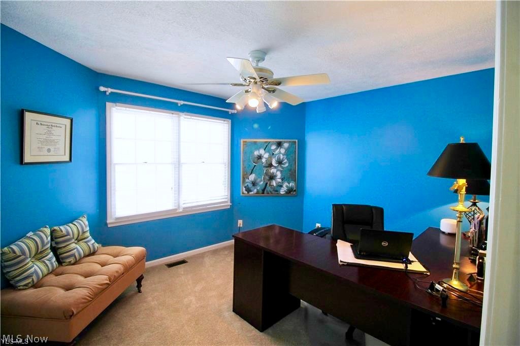 Williamsburg Colony - Residential