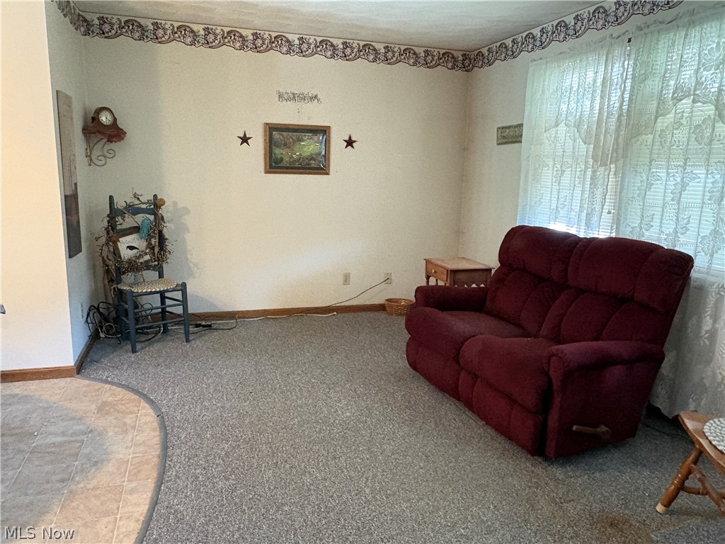 58175 Alt-Miller Hill