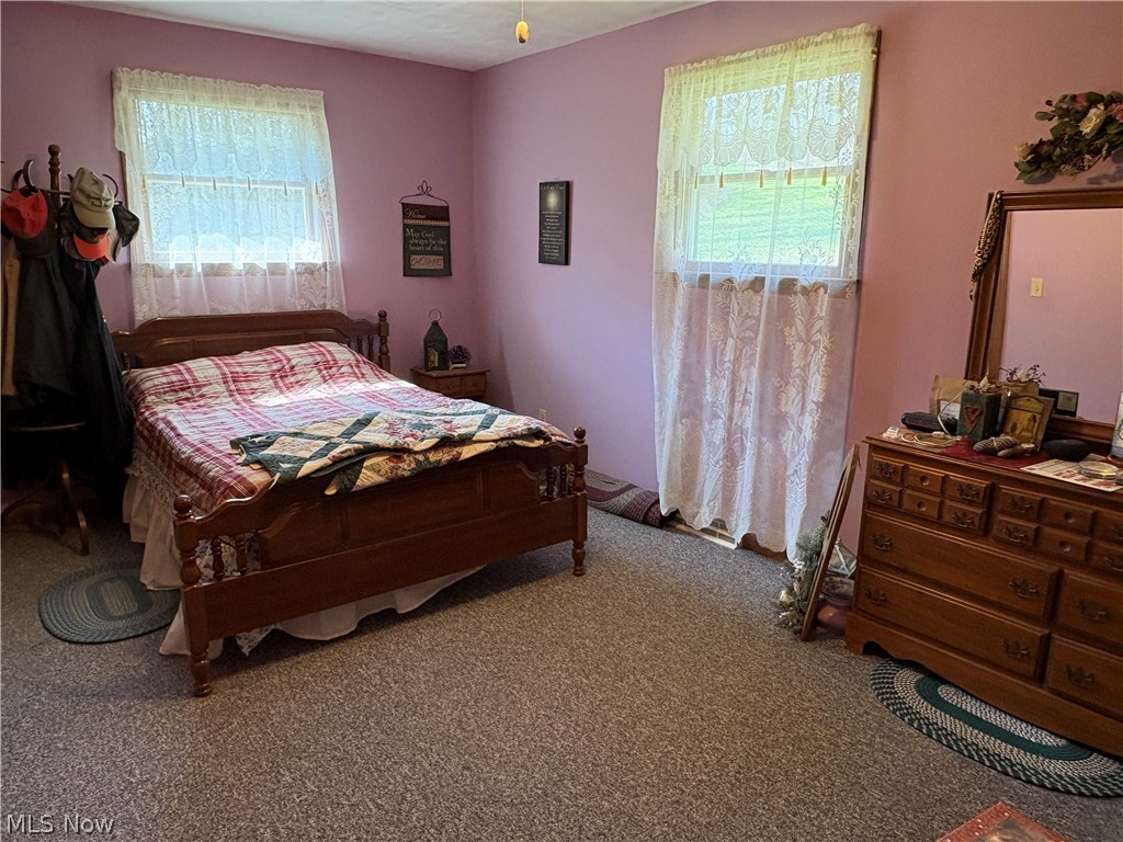 58175 Alt-Miller Hill
