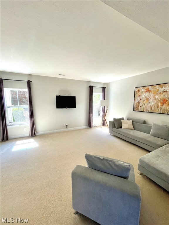 Enclave At Shale Creek - Residential