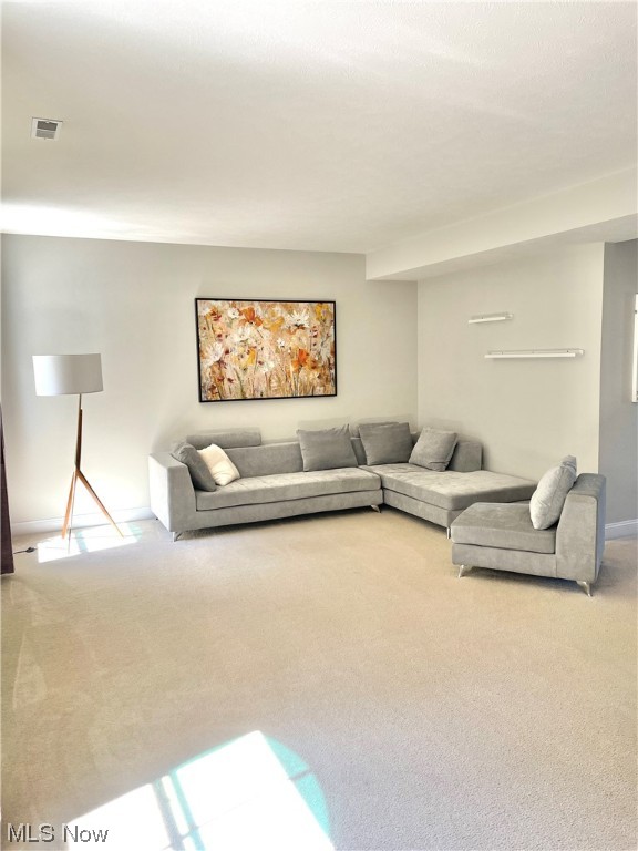 Enclave At Shale Creek - Residential