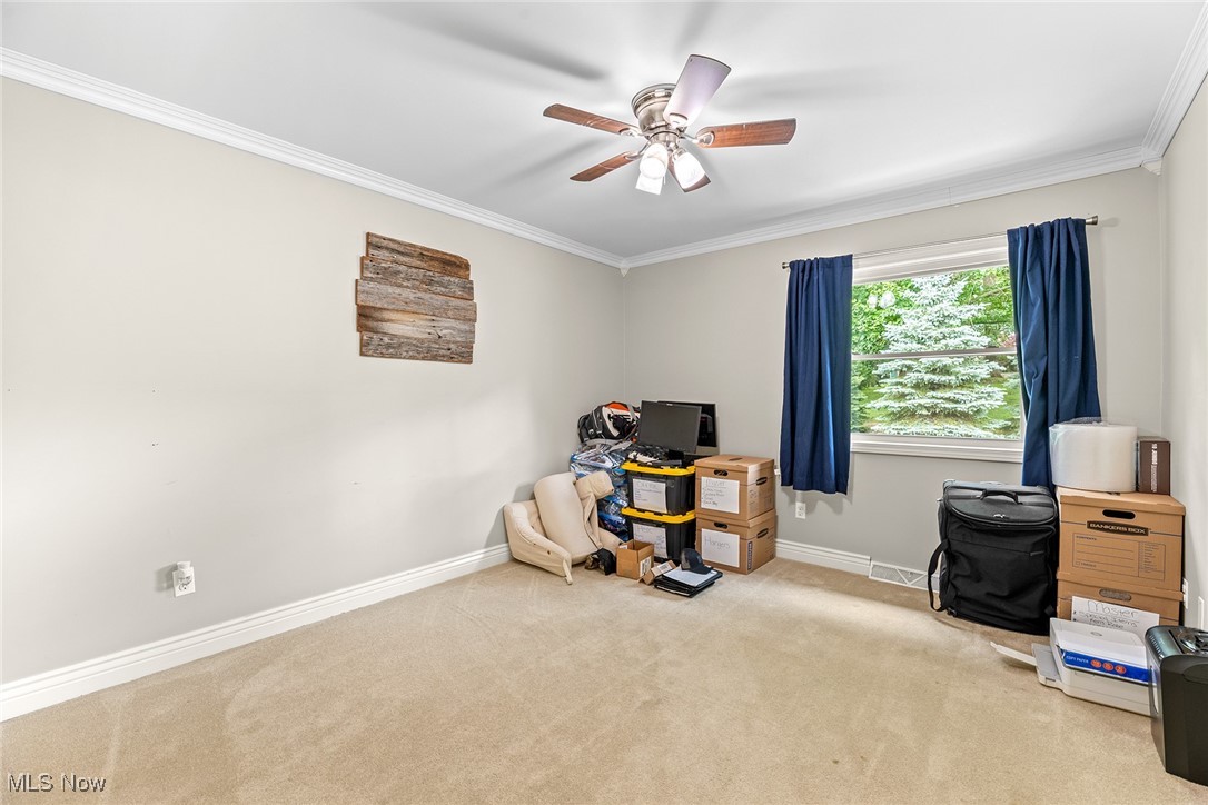 Nineteenth Green Allotment - Residential