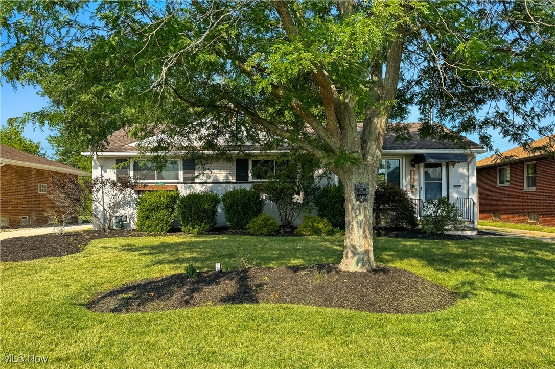 Welcome to this beautifully updated three bed, two full bath ranch located in the heart of Fairview Park! This move-in-ready home features stylish finishes, an open feel with original hardwood floors, abundant natural light, and thoughtful updates throughout. The newly remodeled kitchen (2025) is complete with sleek countertops, new dishwasher and stove, and contemporary cabinetry. The spacious living areas are perfect for both relaxing and entertaining including the finished basement which features a fully renovated full bath (2025). Enjoy the outdoors in your large private, fully fenced in backyard (2019) ideal for gatherings on the patio, pets, making your gardening dreams come true, or simply unwinding. If that isn't enough, this home offers the unique advantage of being eligible to attend both Rocky River or Fairview Park school districts. Additional updates include full interior paint (2019), exterior house and awning paint (2020), and mudroom install (2021). Don't miss this opportunity to own this inviting home in a prime location!!