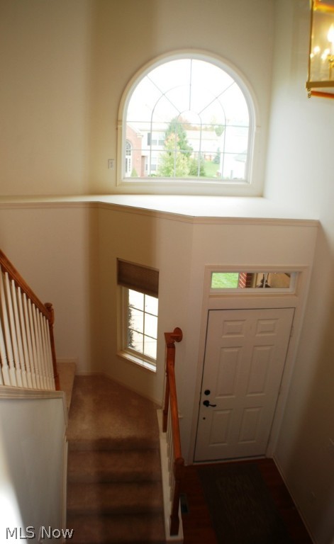 Bentley Park - Residential