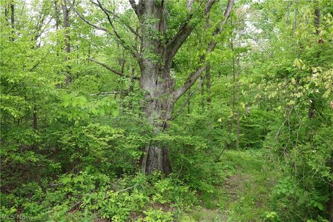 Tiny photo for 61342 High Hill Road, Cambridge, OH 43725 (MLS # 5210610)