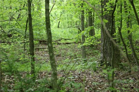 Tiny photo for 61342 High Hill Road, Cambridge, OH 43725 (MLS # 5210610)