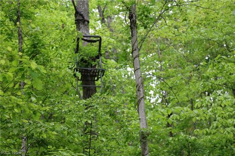 Tiny photo for 61342 High Hill Road, Cambridge, OH 43725 (MLS # 5210610)