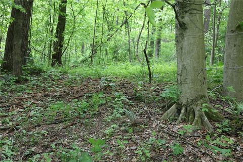 Tiny photo for 61342 High Hill Road, Cambridge, OH 43725 (MLS # 5210610)