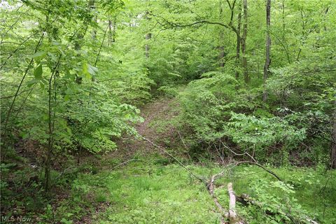 Tiny photo for 61342 High Hill Road, Cambridge, OH 43725 (MLS # 5210610)