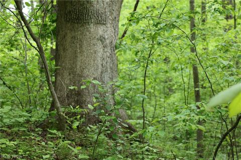 Tiny photo for 61342 High Hill Road, Cambridge, OH 43725 (MLS # 5210610)