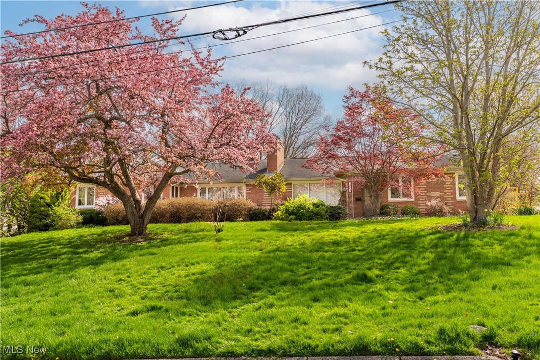 491 Parkside Drive, Akron, Ohio image 1