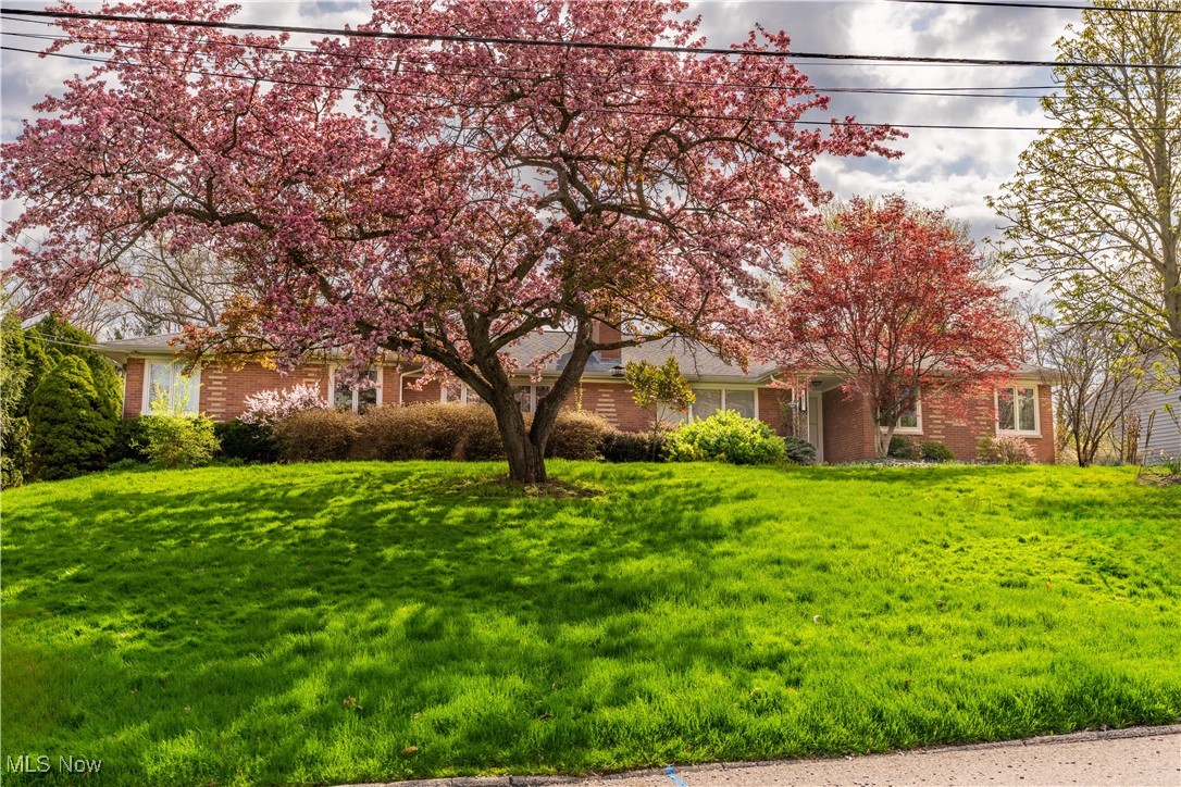 491 Parkside Drive, Akron, Ohio image 2