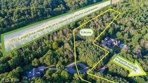 Bainbridge 02 - Land