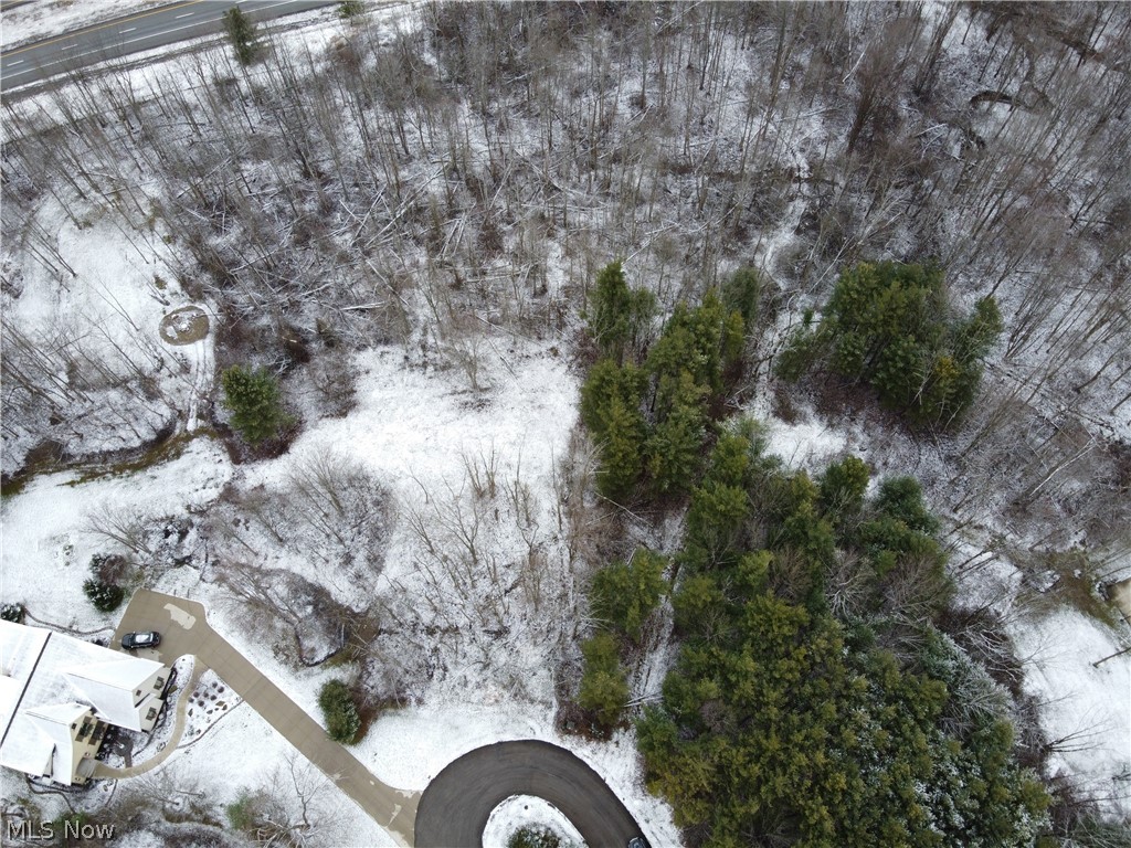 Bainbridge 02 - Land