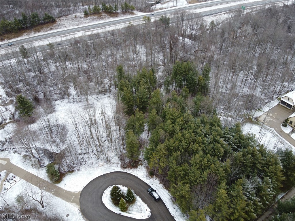 Bainbridge 02 - Land