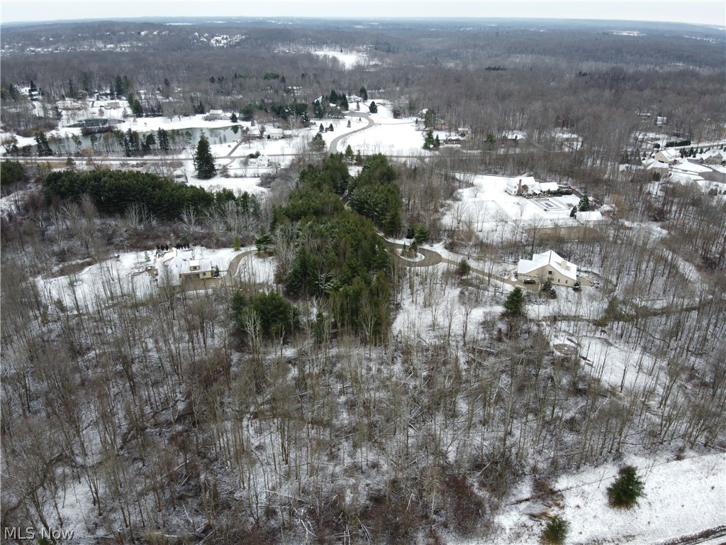 Bainbridge 02 - Land