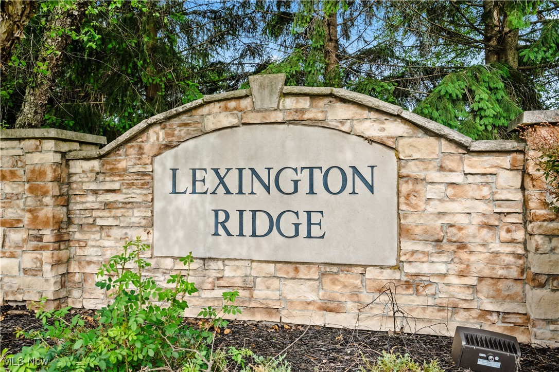 4527 Lexington Ridge Drive, Medina, Ohio image 47