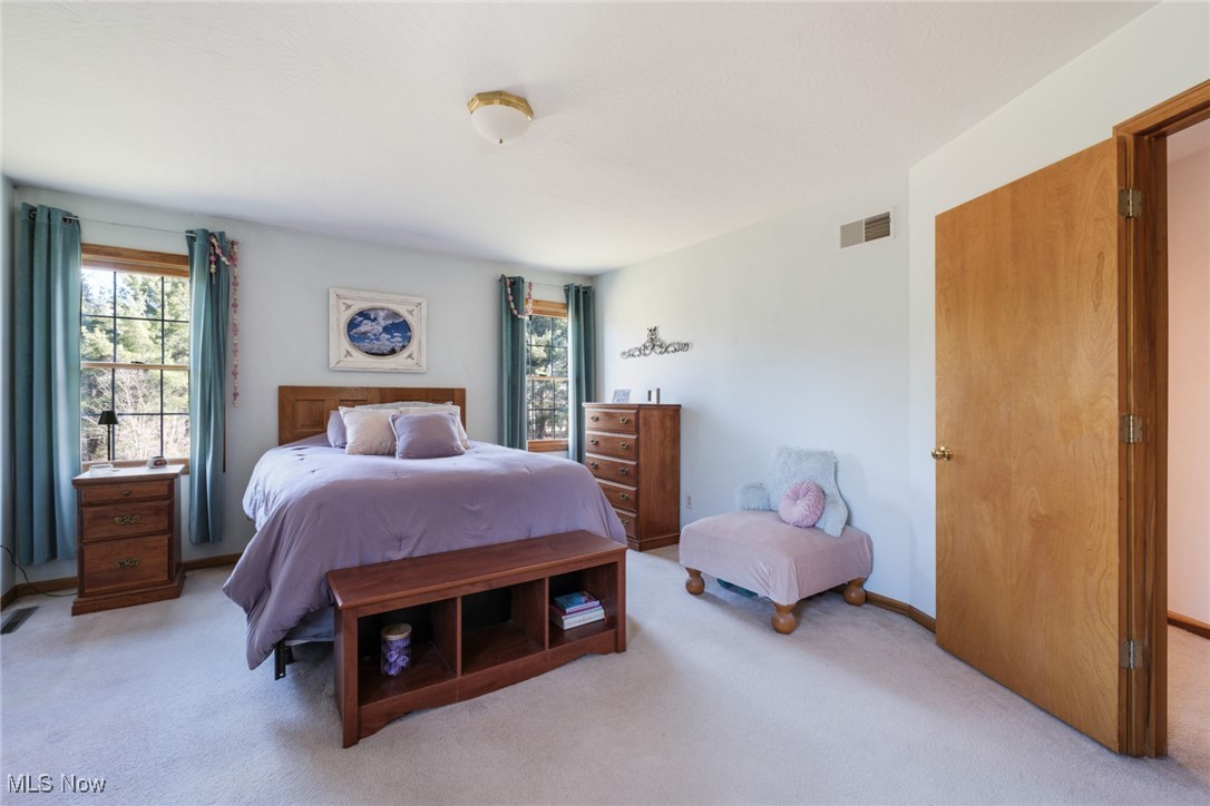 9720 Stratton Road, Salem, Ohio image 22