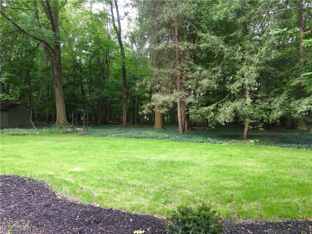 Forest Park - Residential