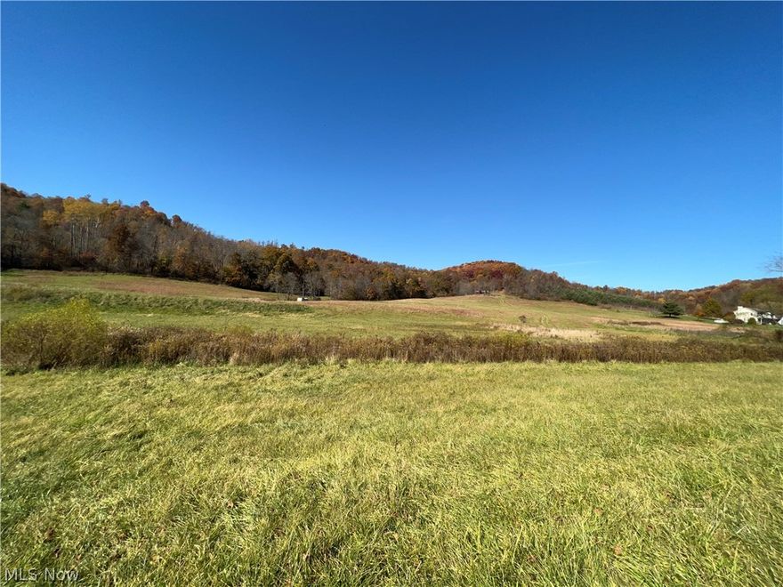 Come see this beautiful piece of land! Perfect for recreational use or future build site! Rolling hillside and 2 ponds. A total of 20.25 acres. A shed-type shelter is situated at the top of the hill, overlooking the entire property. Camper can stay! Schedule your showing today!