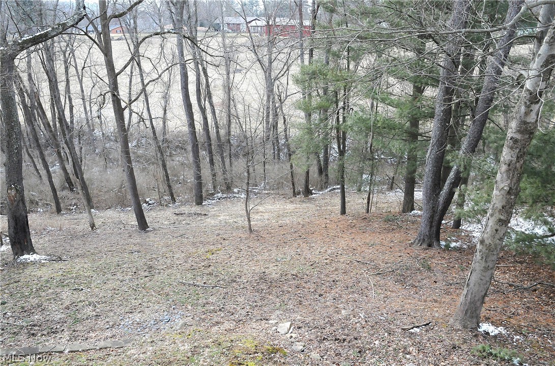 Spencer - Residential