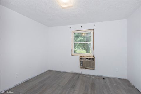 Tiny photo for 396 Park Road, Painesville Township, OH 44077 (MLS # 5221259)