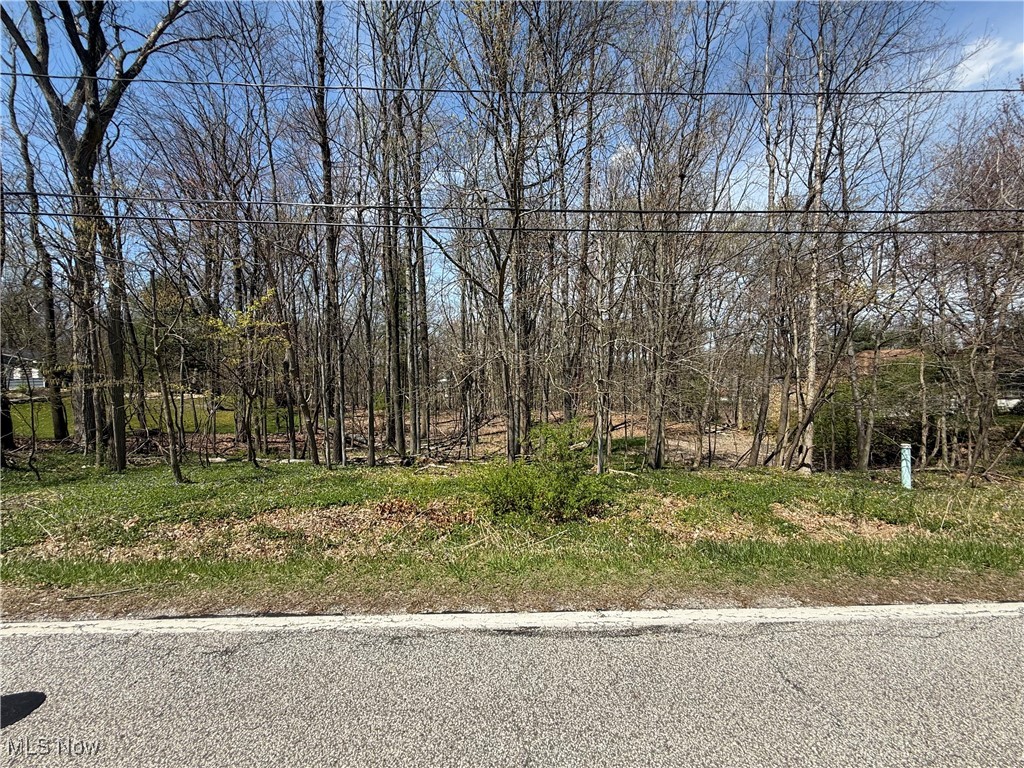 Whitewood Road, Brecksville, Ohio image 1