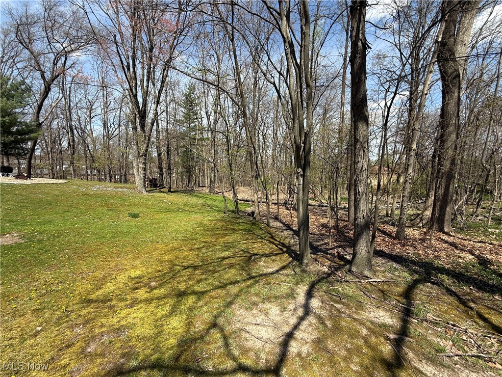 Whitewood Road, Brecksville, Ohio image 2