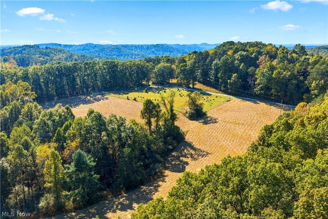 202 Mount Carmel Rd