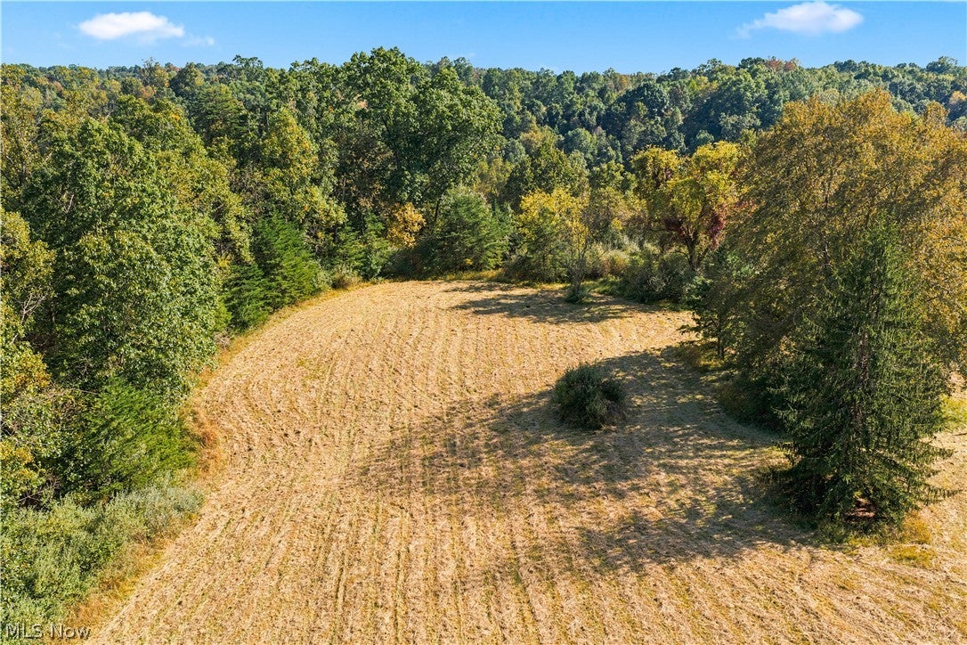 202 Mount Carmel Rd