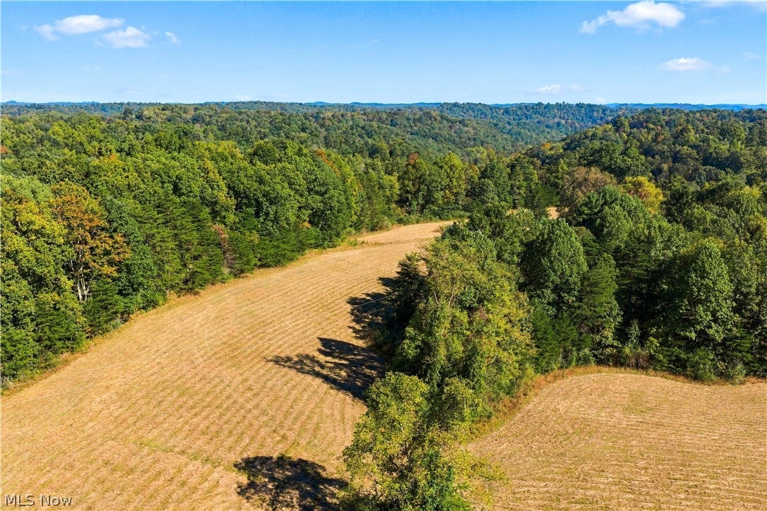 202 Mount Carmel Rd