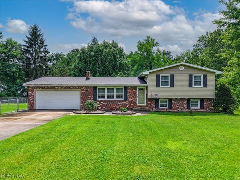 Photo of 4713 Sherman Road, Kent, OH 44240 (MLS # 5221367)