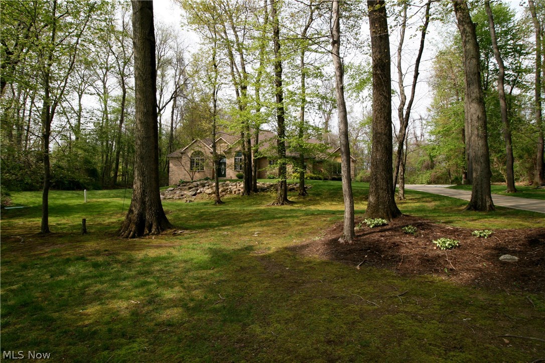 Maple Grove Allotment - Residential