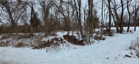 Vacant Land For Sale - CR32 Kilgore Road Road<br/> Bellaire, OH 43906