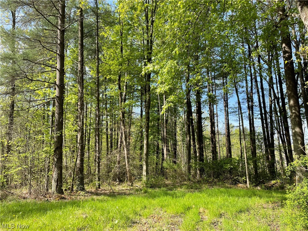 Connecticut Western Reserve - Land