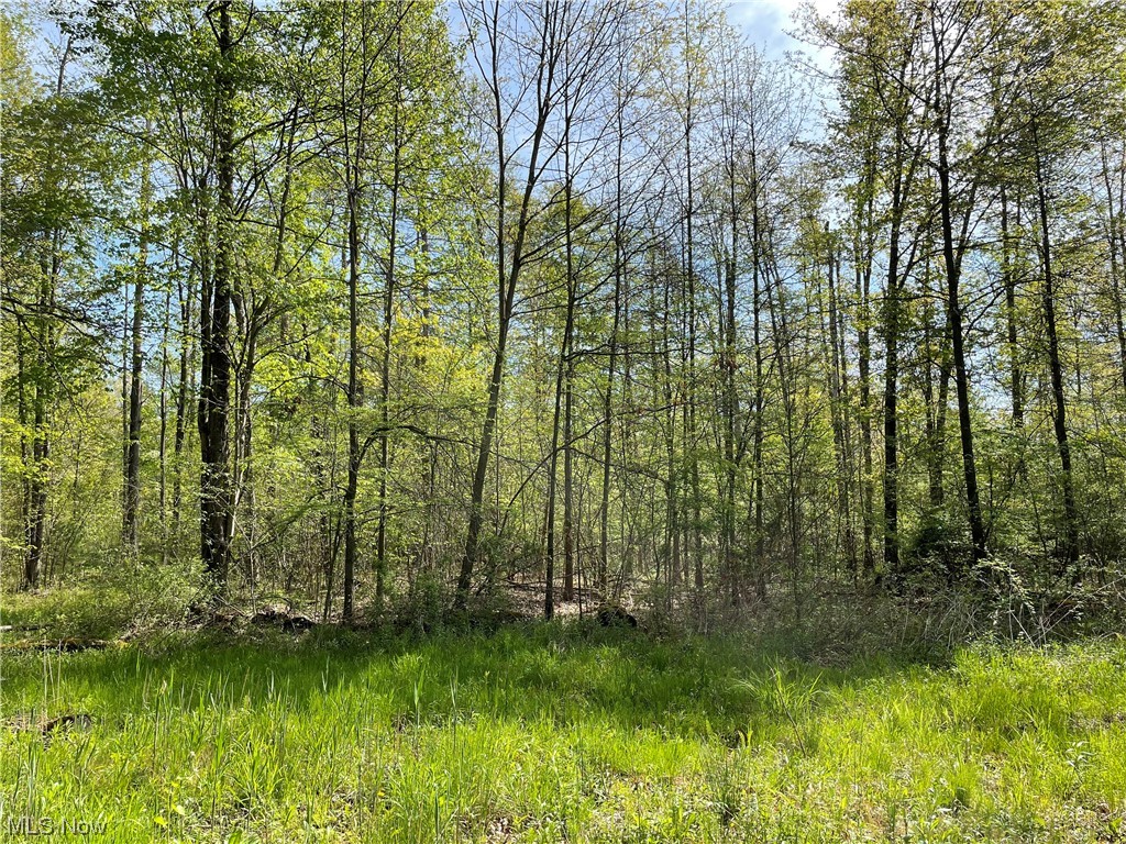 Connecticut Western Reserve - Land