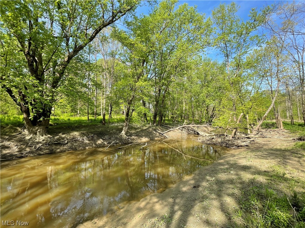 Connecticut Western Reserve - Land
