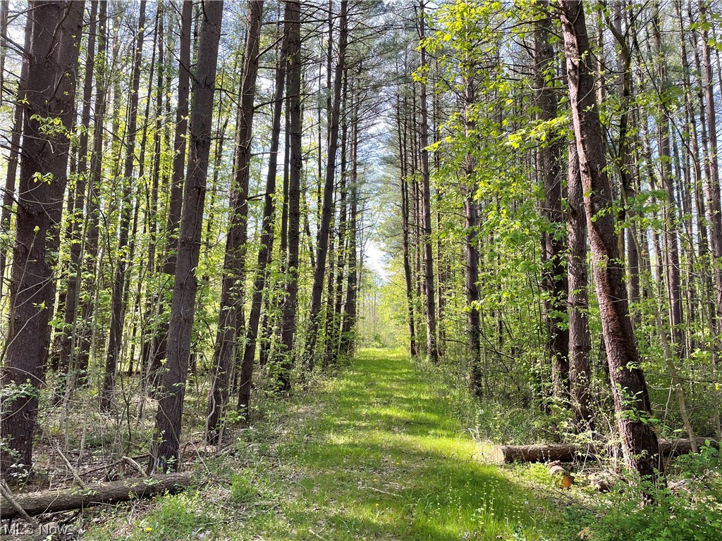 Connecticut Western Reserve - Land