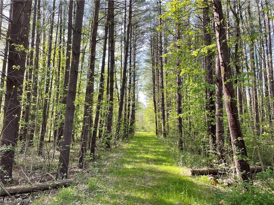 Great location on a quiet country road with over 1,000ft of Grand River frontage. This completely wooded lot is perfect for you dream home, hunting property or quiet get away on the Grand River.  The driveway is already in and gated. Nice young growth timber that has not been cut.  Addition 6+ acres land available.