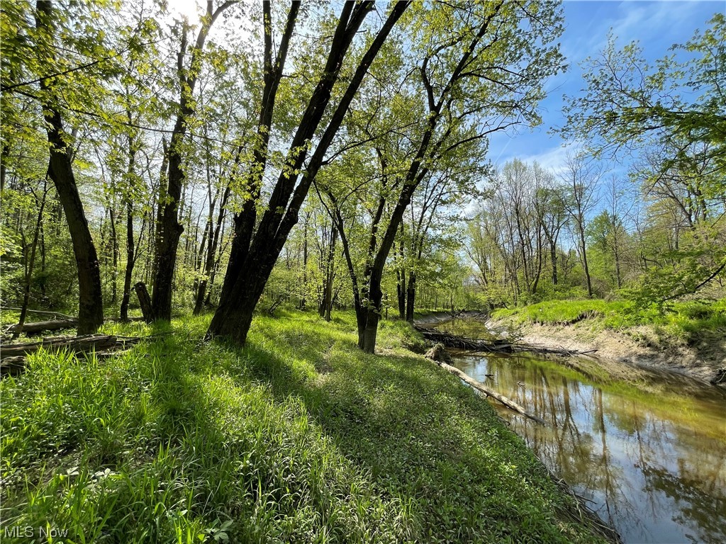 Connecticut Western Reserve - Land