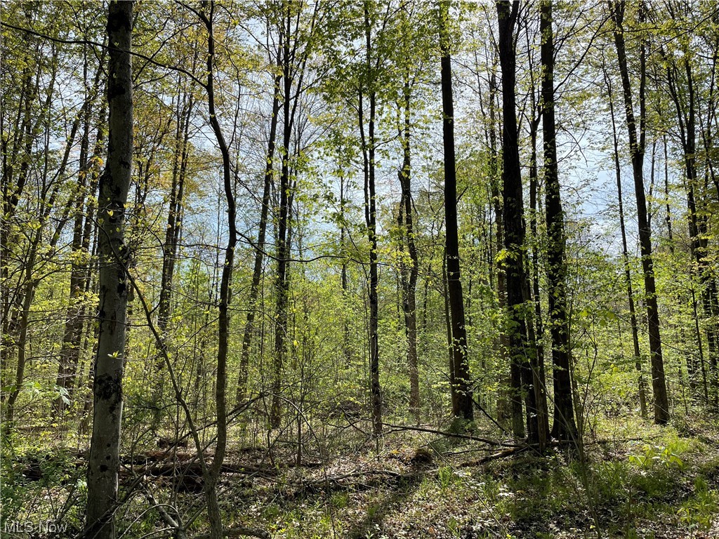 Connecticut Western Reserve - Land