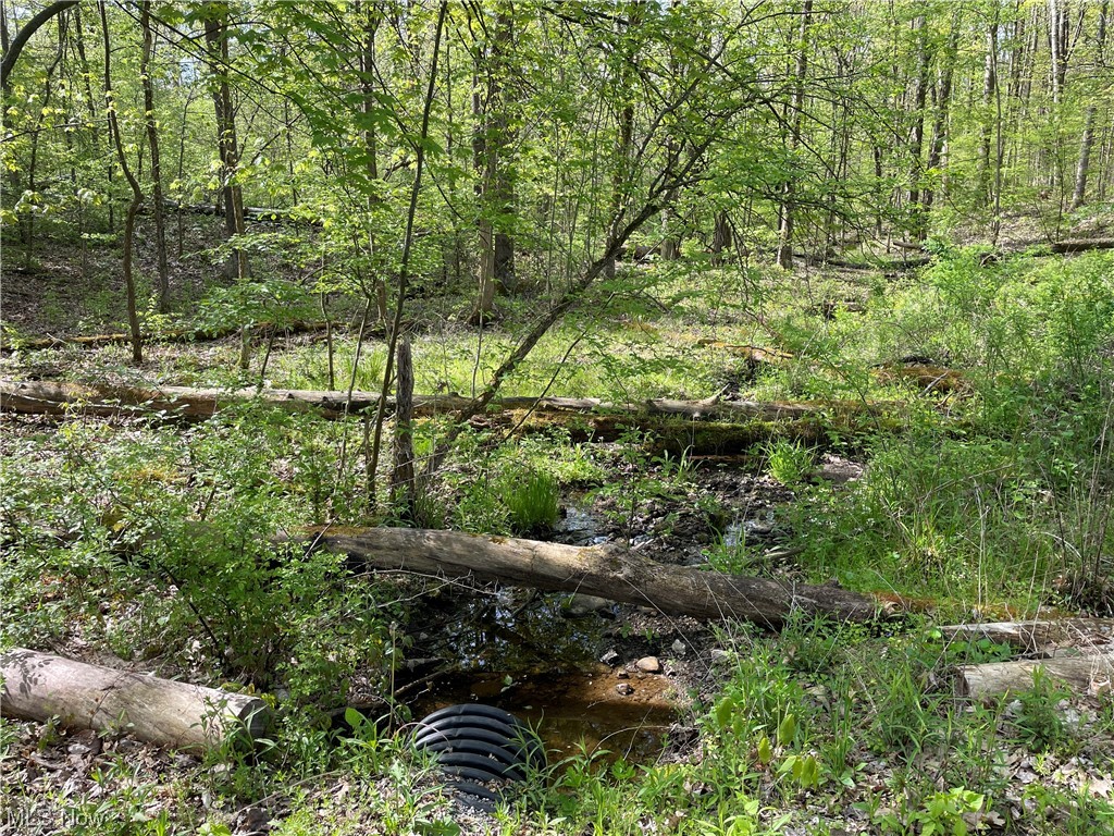 Connecticut Western Reserve - Land